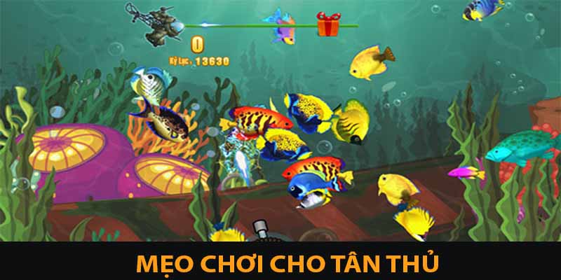Bắn Cá JDB: Chơi Mượt, Thắng Nhanh, Chỉ Có Tại Vin777 4 Kinh nghiệm giúp bạn nâng trình