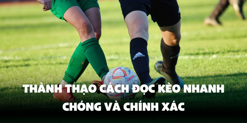 Kèo Châu Á Là Gì? Cách Để Đọc Kèo Chuẩn Khi Chơi Ta·Vin777 4 Lý do chọn Vin777 chơi cá cược thể thao